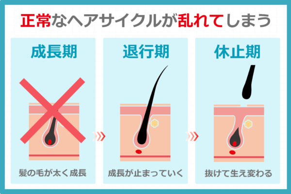 正常なヘアサイクルが乱れてしまう