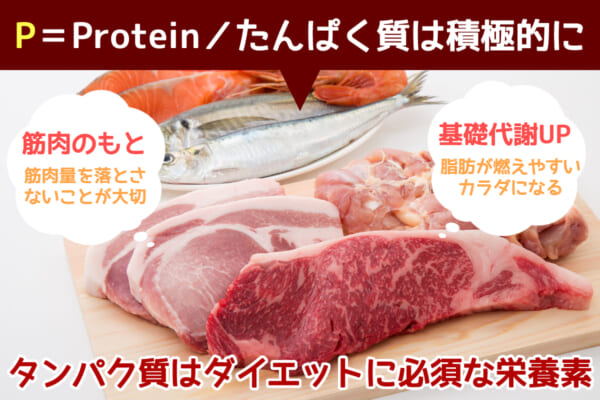 P＝Protein／たんぱく質は積極的に