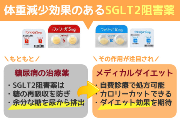 フォシーガとは？体重減少効果のあるSGLT2阻害薬